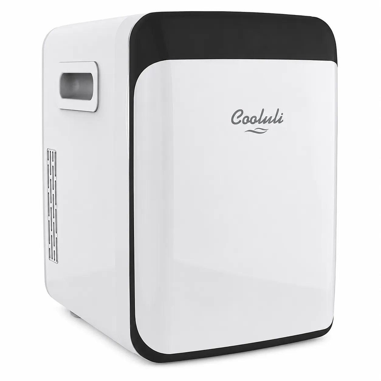 Portable Mini Cooler and Warmer Refrigerator for Home Travel and Office